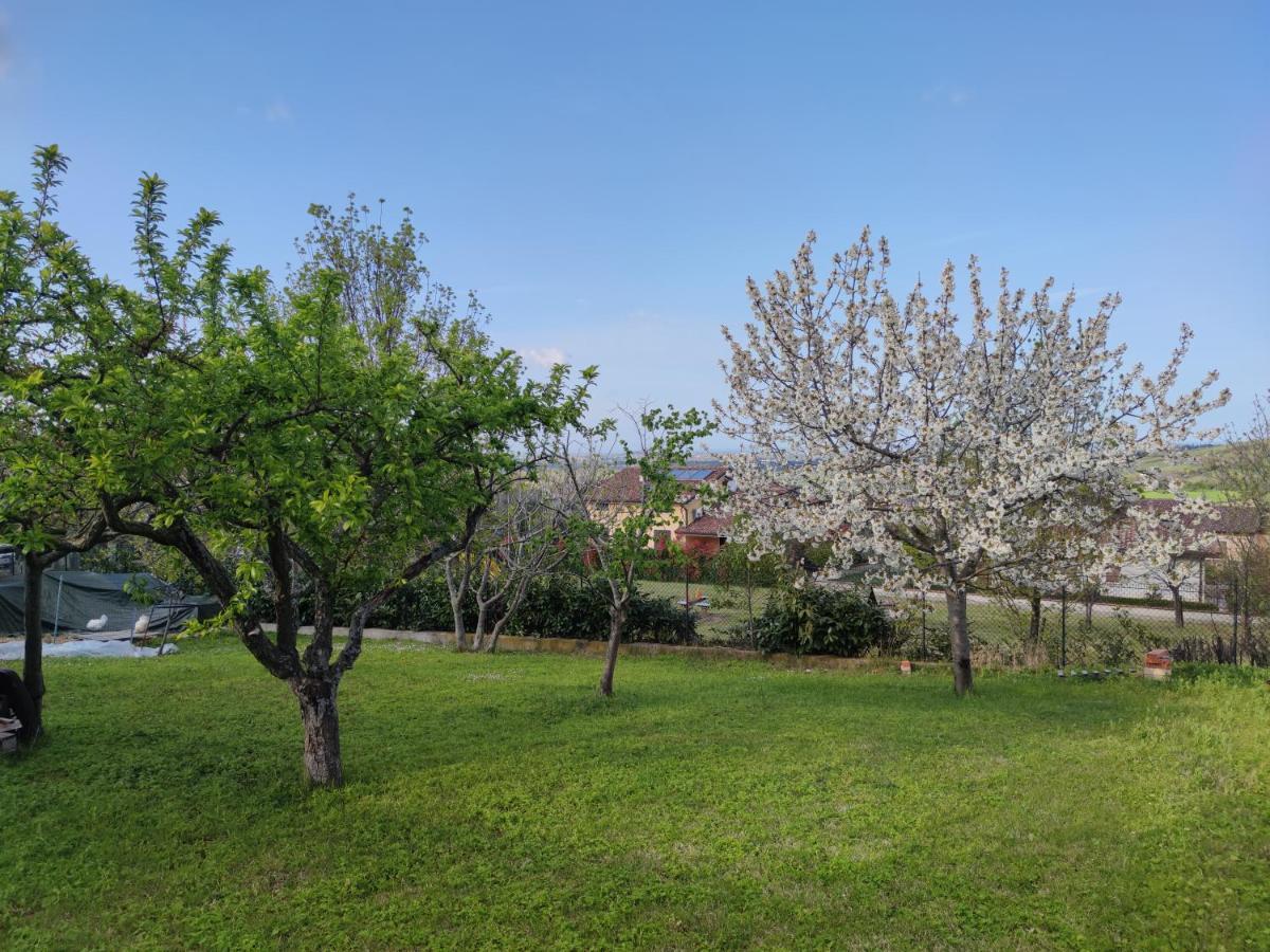 Relax In Collina A Due Passi Dal Mare Apartment Torriana Luaran gambar